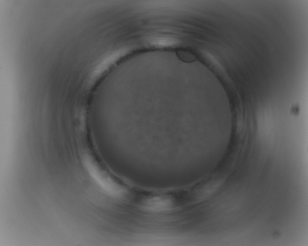 X0000113950447200910161943