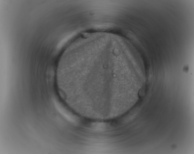 X0000113950448200910161943