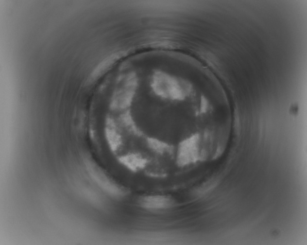 X0000113950449200910161943