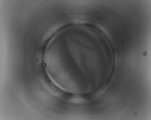 X0000113950451200910161943