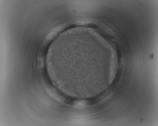 X0000113950452200910161943