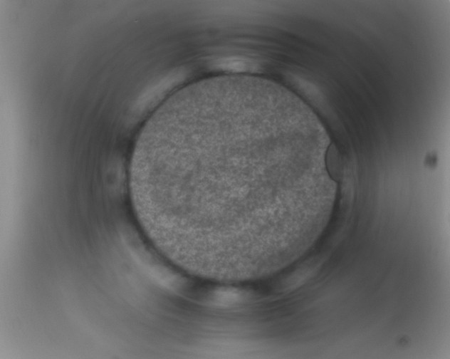 X0000113950453200910161943