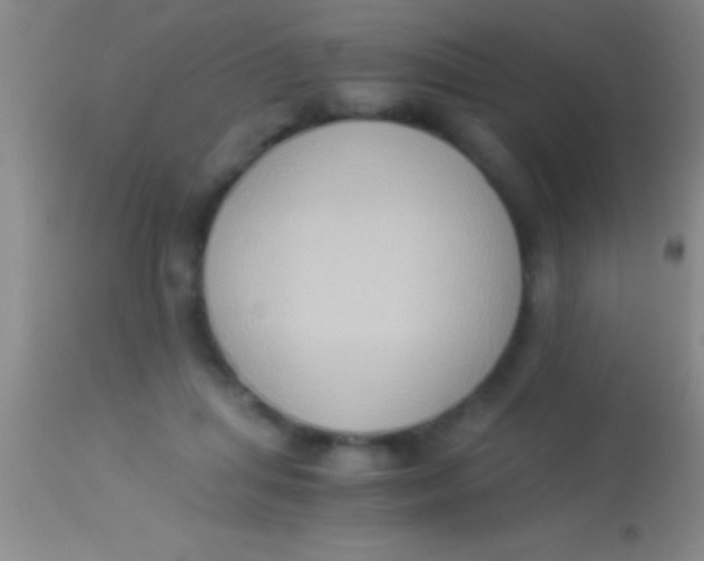 X0000113950455200910161943