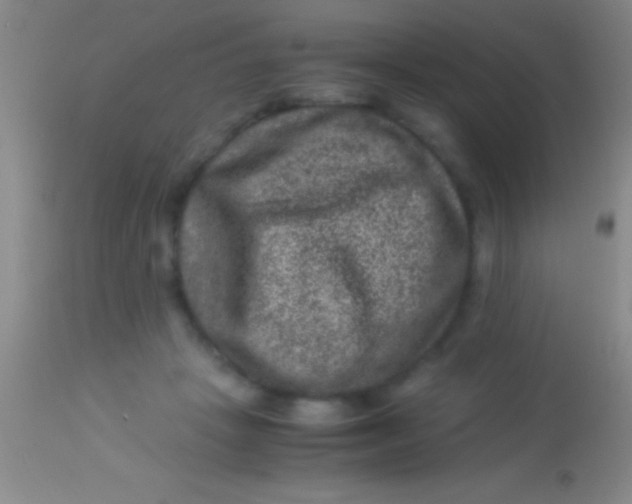X0000113950457200910161943