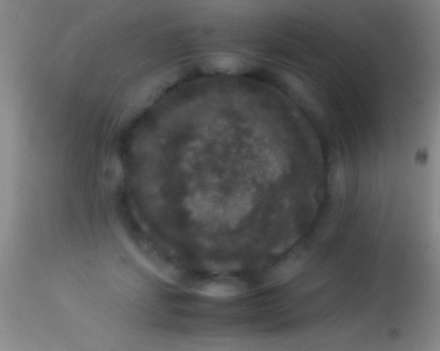 X0000113950459200910161943