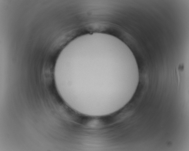 X0000113950460200910161943