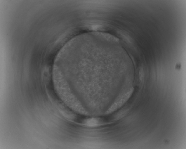 X0000113950461200910161943