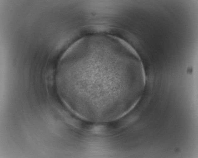 X0000113950462200910161943