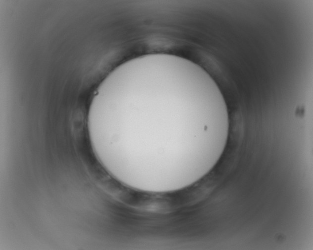 X0000113950463200910161943