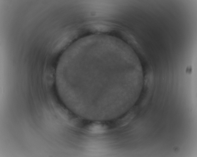 X0000113950464200910161943