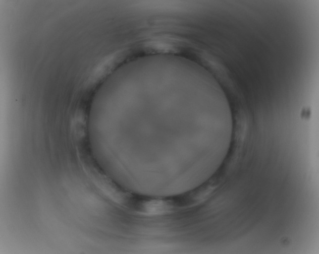 X0000113950465200910161943