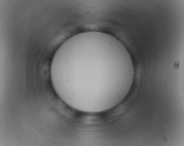 X0000113950466200910161943