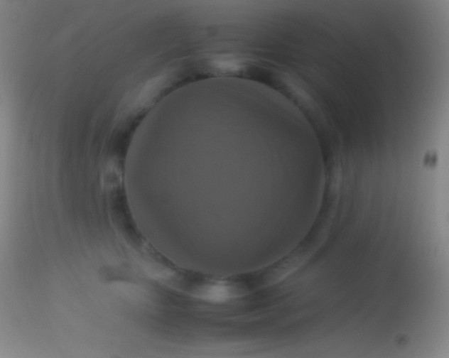 X0000113950467200910161943