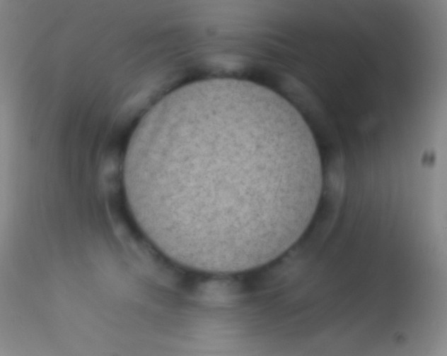 X0000113950468200910161943