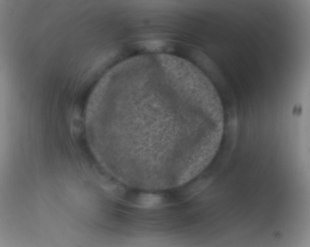 X0000113950469200910161943