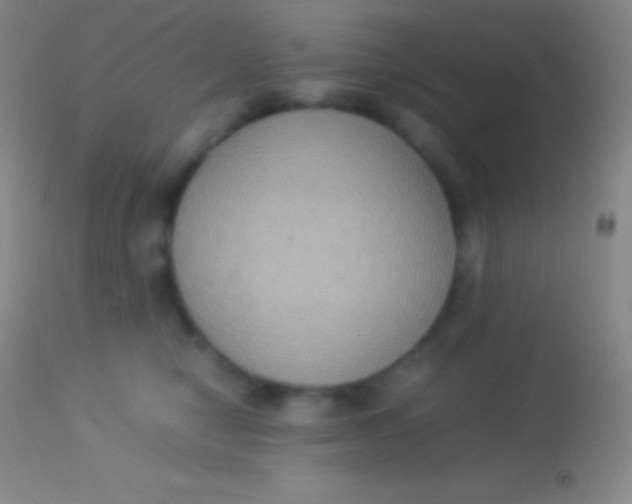 X0000113950470200910161943