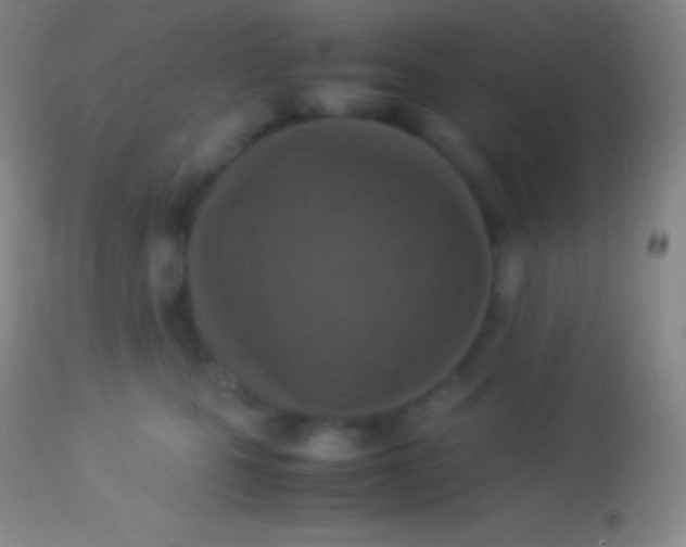 X0000113950471200910161943