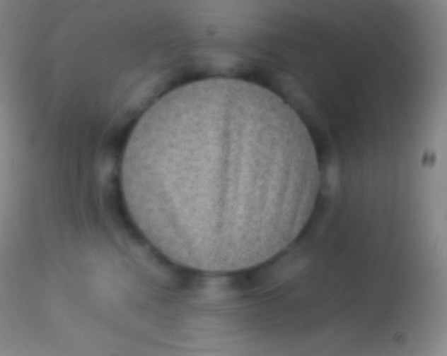 X0000113950472200910161943