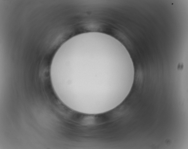 X0000113950473200910161943