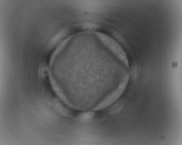X0000113950474200910161943