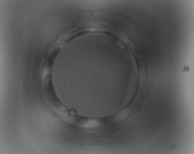 X0000113950475200910161944