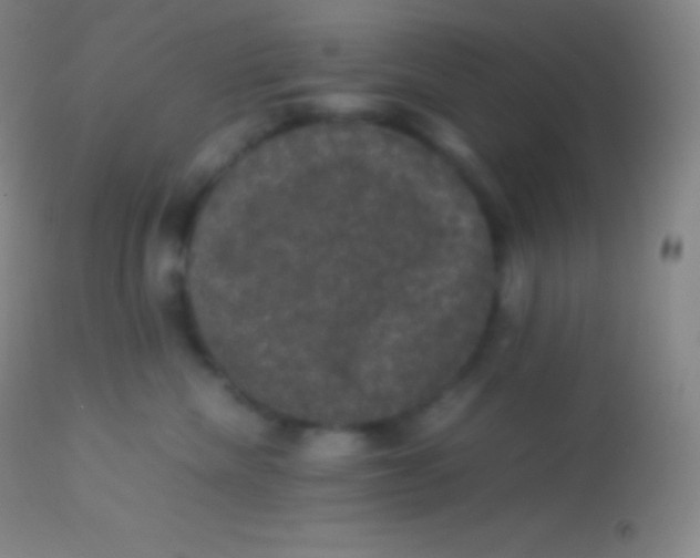 X0000113950476200910161944