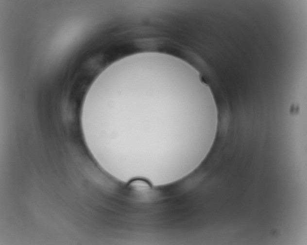 X0000113950477200910161944