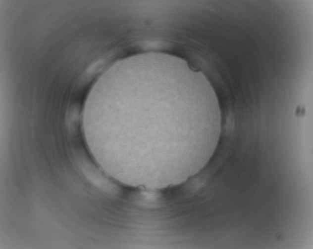X0000113950478200910161944