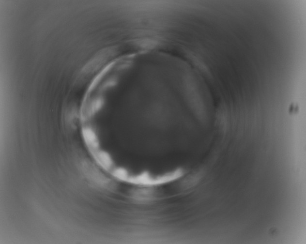 X0000113950479200910161944