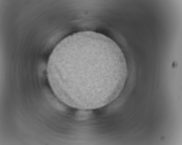 X0000113950480200910161944