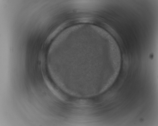 X0000113950482200910161943