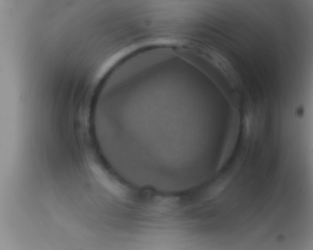 X0000113950484200910161943