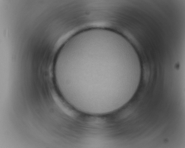 X0000113950486200910161943