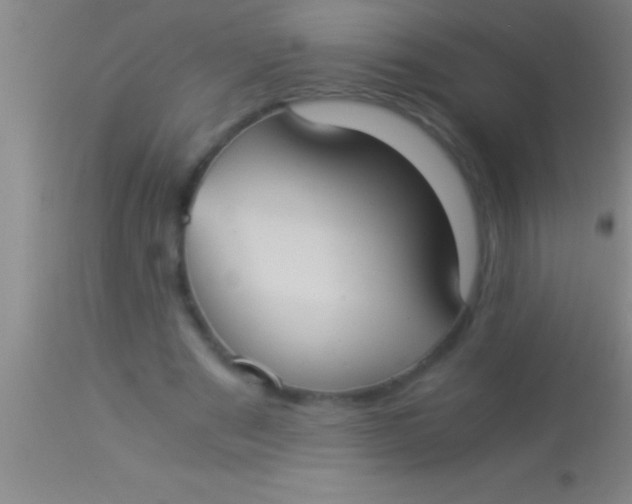 X0000113950489200910161943