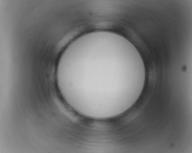 X0000113950490200910161943