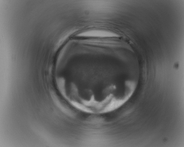 X0000113950491200910161943