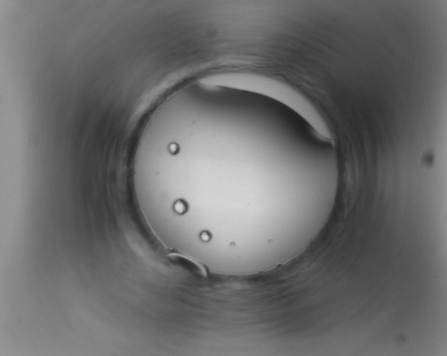 X0000113950492200910161943