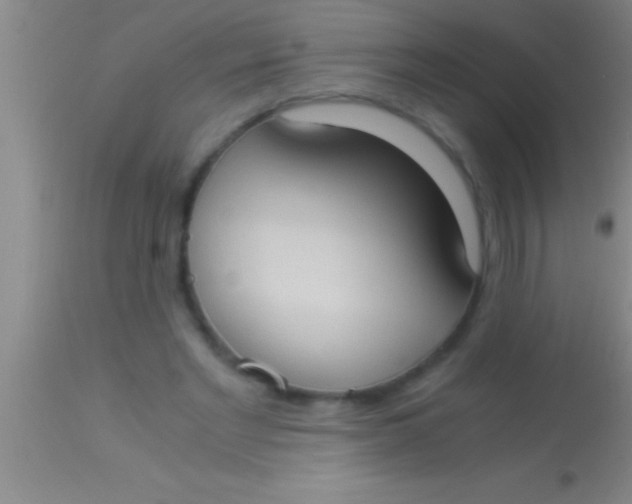 X0000113950493200910161943