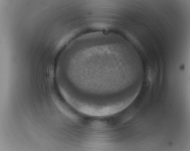 X0000113950494200910161943