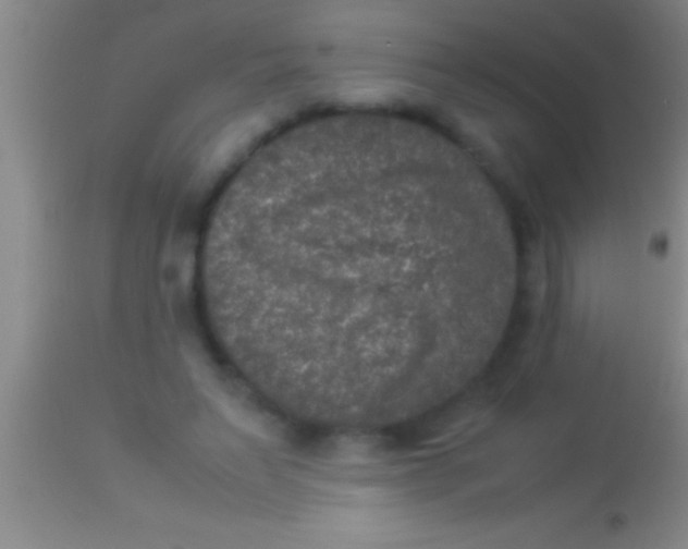 X0000113950495200910161943
