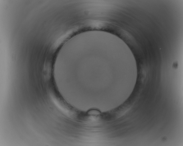 X0000113950496200910161943
