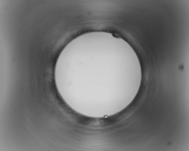X0000113950497200910161943