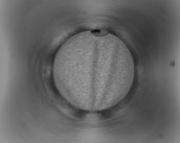 X0000113950499200910161943