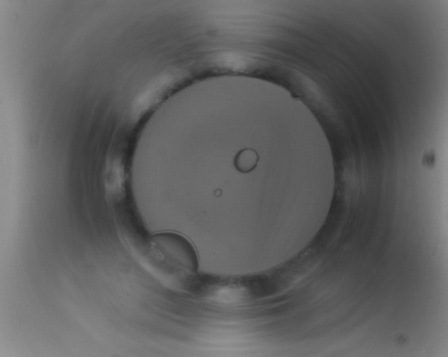 X0000113950500200910161943