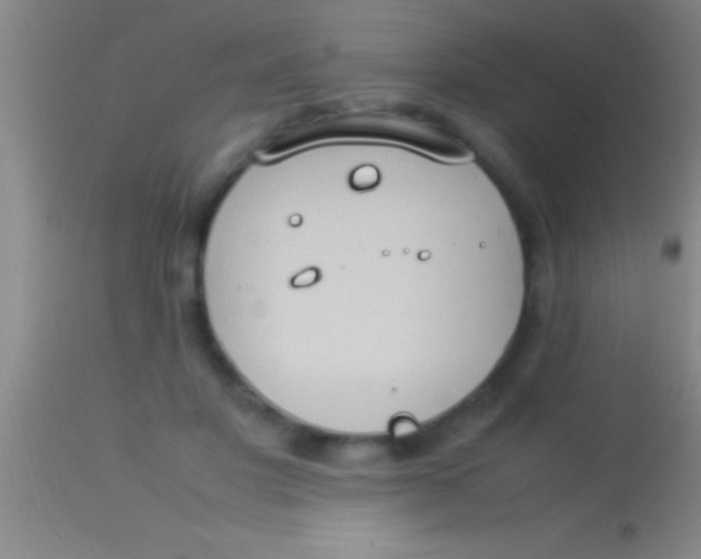 X0000113950501200910161943