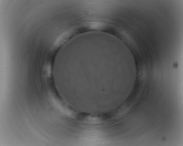 X0000113950502200910161943