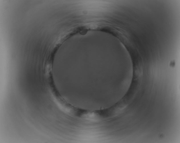 X0000113950503200910161943