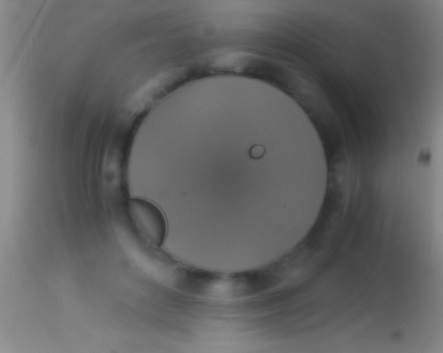 X0000113950504200910161942