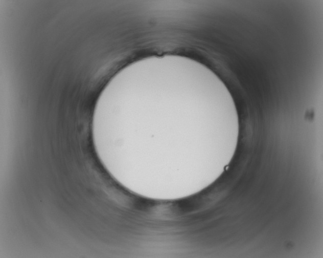 X0000113950505200910161942