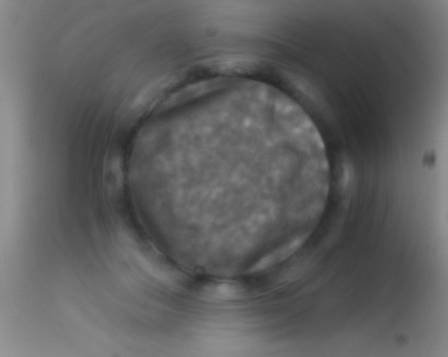 X0000113950506200910161942